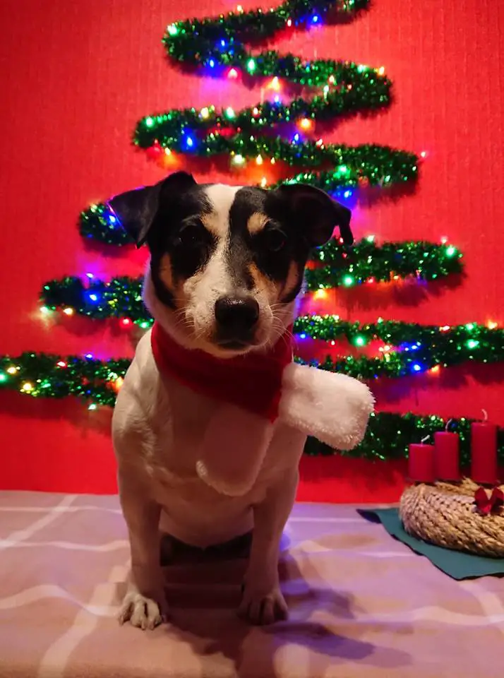 JRT xmas2