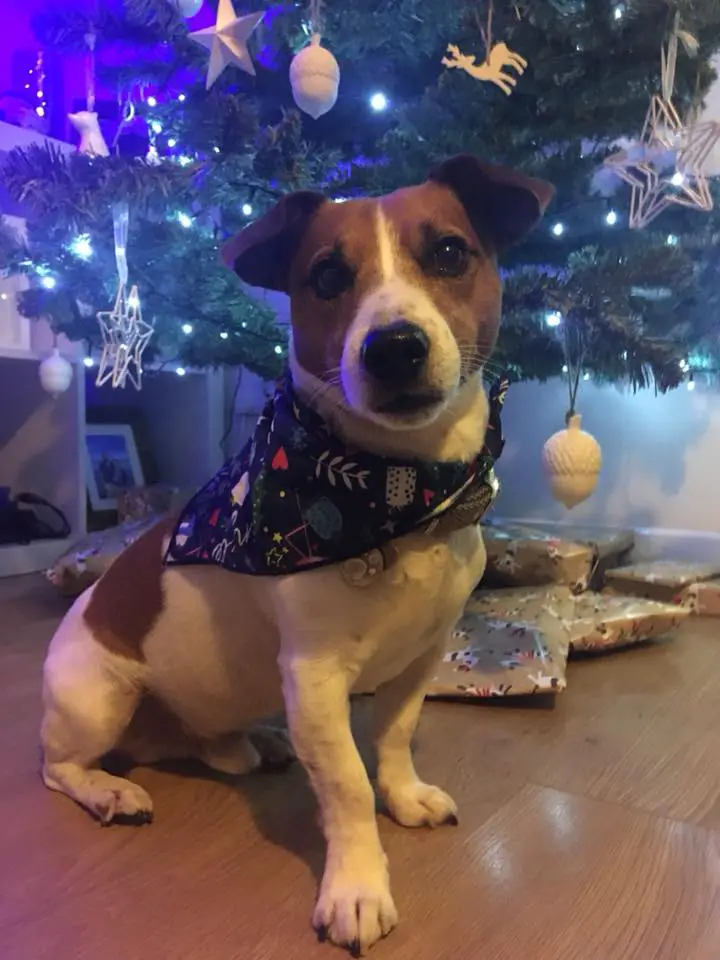 JRT xmas3