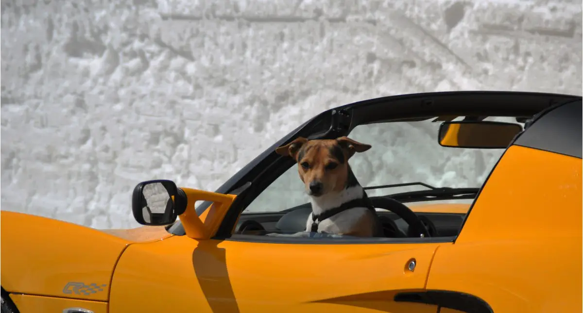 JRT in the driver's seat