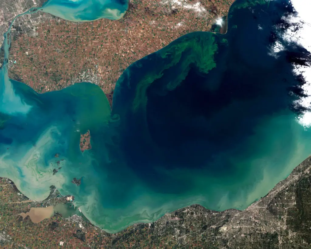 a cyanobacteria bloom in Lake Erie